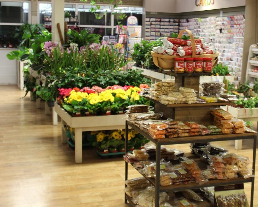 Images Mulberry & Thyme Liss