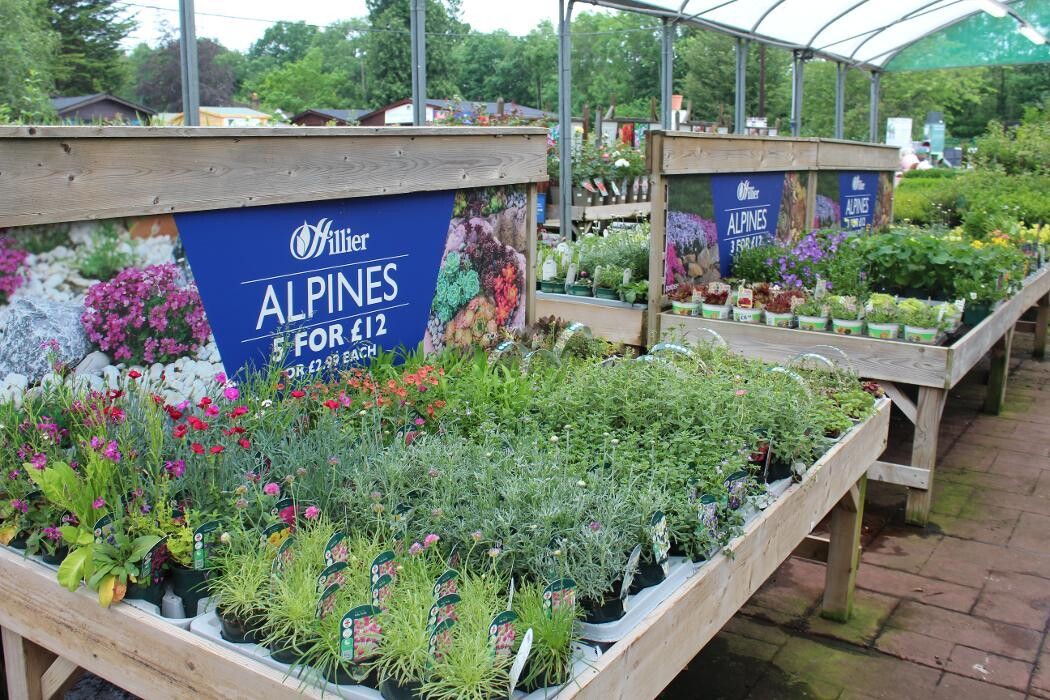 Images Mulberry & Thyme Liss