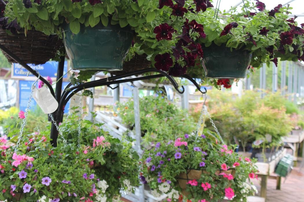 Images Mulberry & Thyme Liss