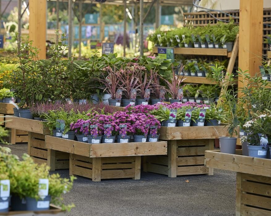 Images Hillier Garden Centre Newbury