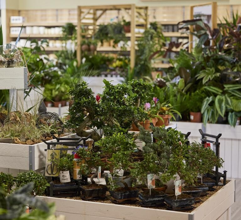 Images Hillier Garden Centre Newbury