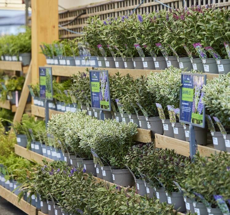 Images Hillier Garden Centre Newbury