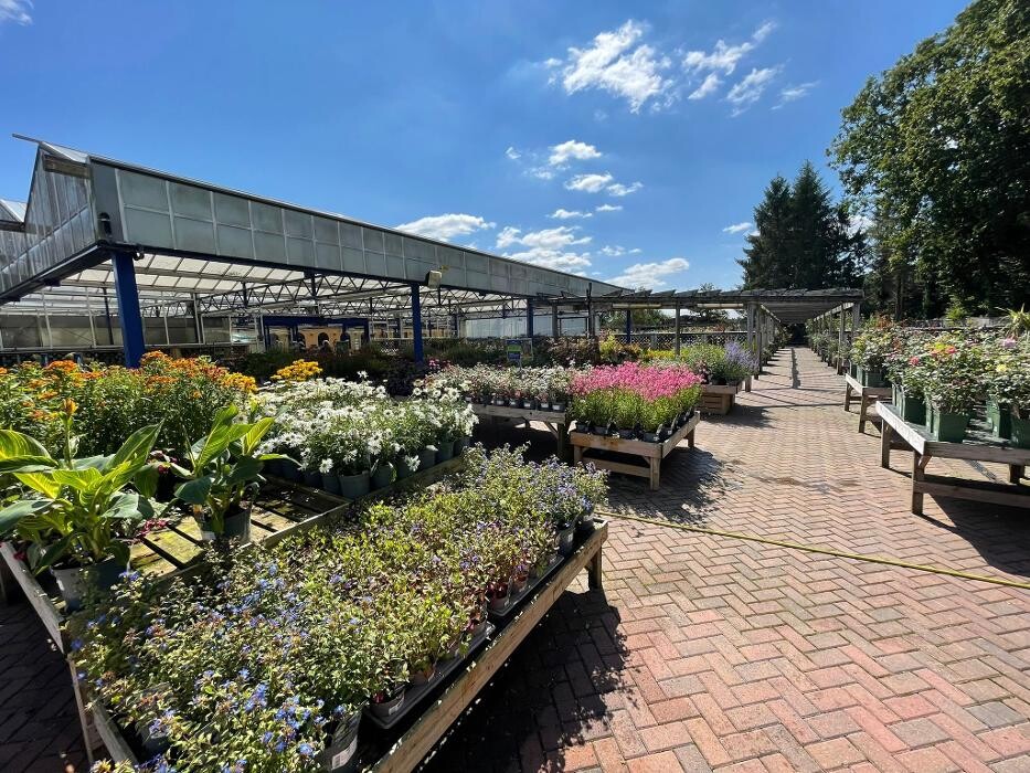 Images Hillier Garden Centre Three Legged Cross