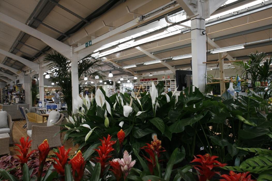 Images Hillier Garden Centre Cheddar