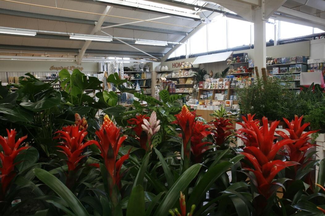 Images Hillier Garden Centre Cheddar