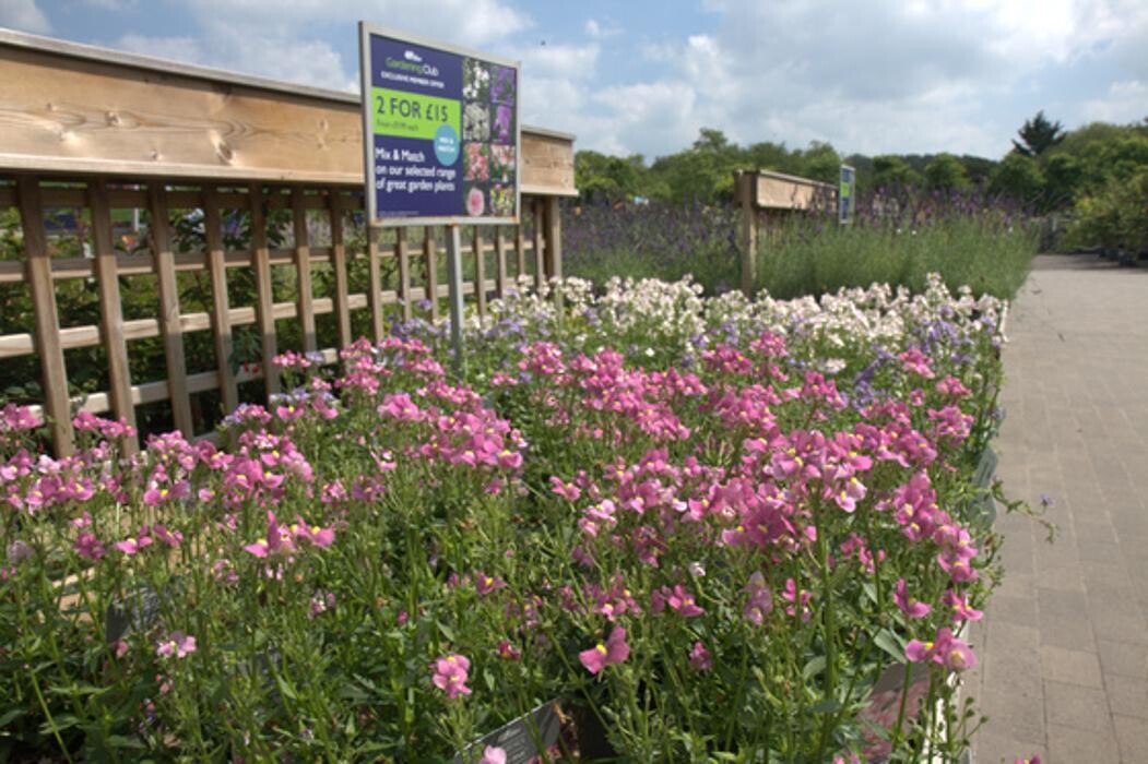 Images Hillier Garden Centre Eastbourne