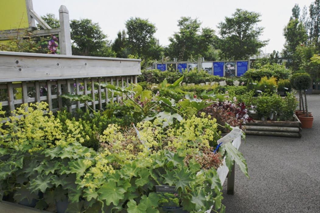 Images Hillier Garden Centre Eastbourne