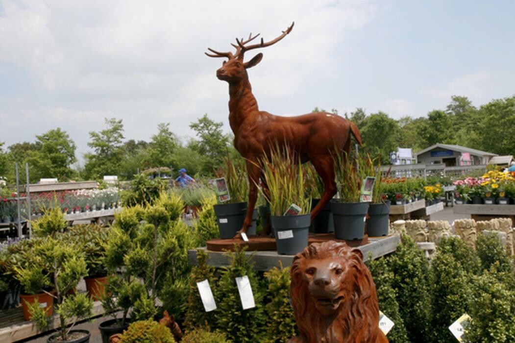 Images Hillier Garden Centre Eastbourne