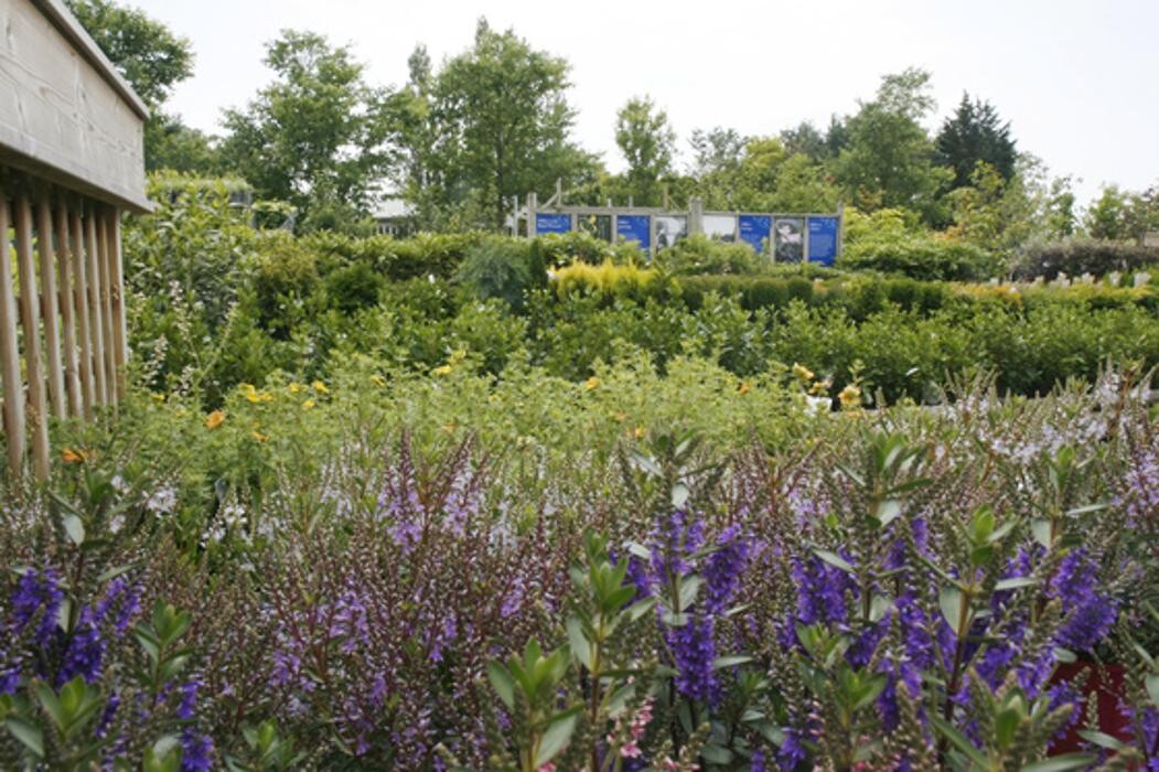 Images Hillier Garden Centre Eastbourne