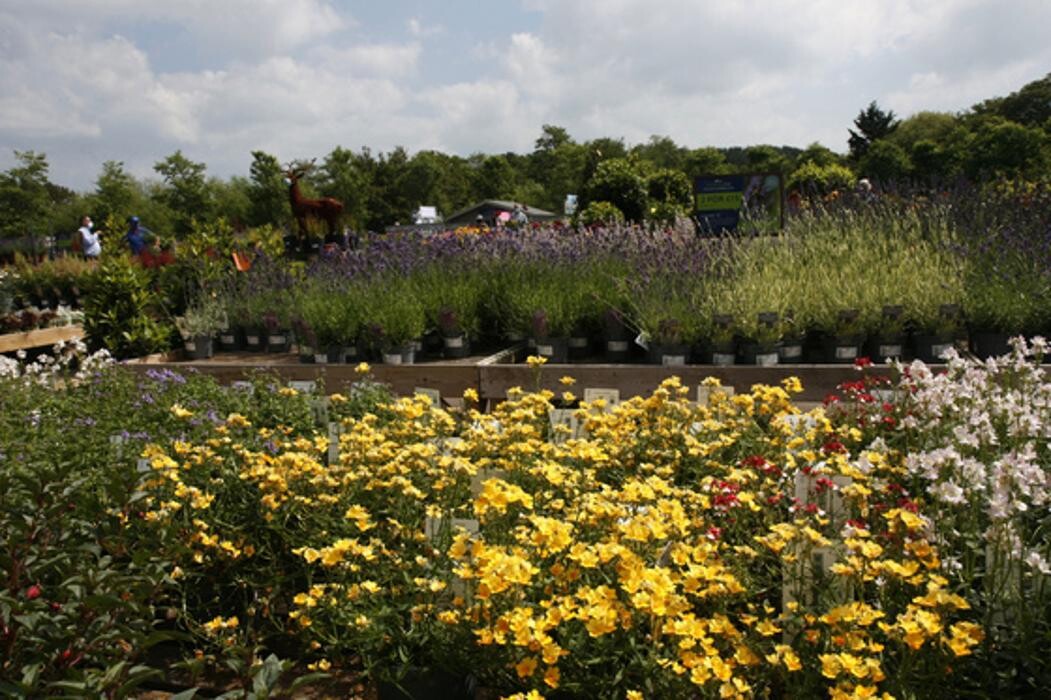 Images Hillier Garden Centre Eastbourne