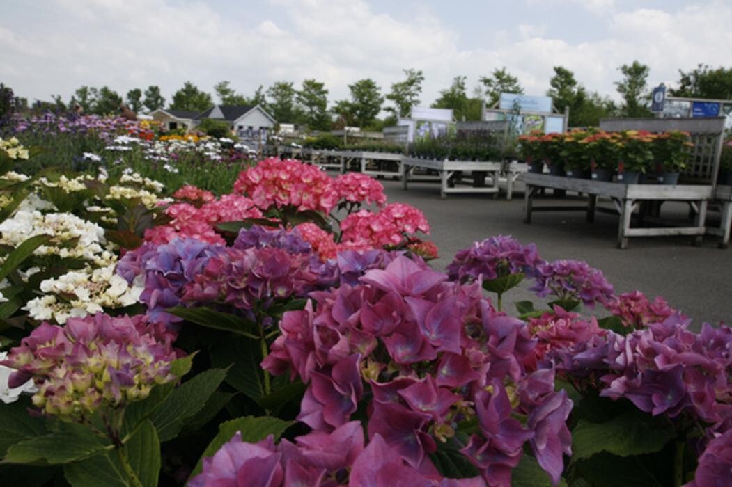 Images Hillier Garden Centre Eastbourne
