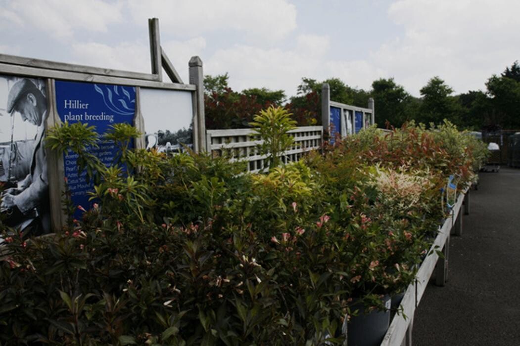 Images Hillier Garden Centre Eastbourne