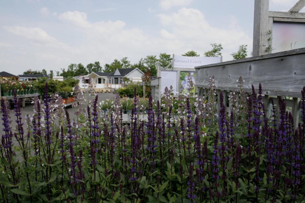 Images Hillier Garden Centre Eastbourne