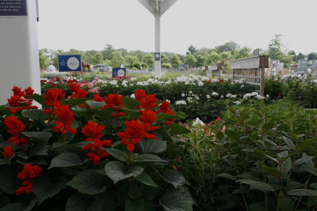 Images Hillier Garden Centre Eastbourne