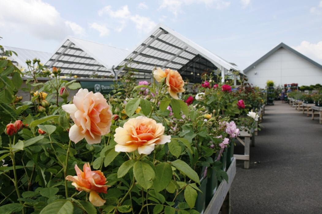 Images Hillier Garden Centre Eastbourne