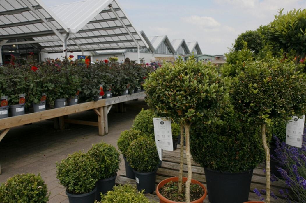 Images Hillier Garden Centre Eastbourne