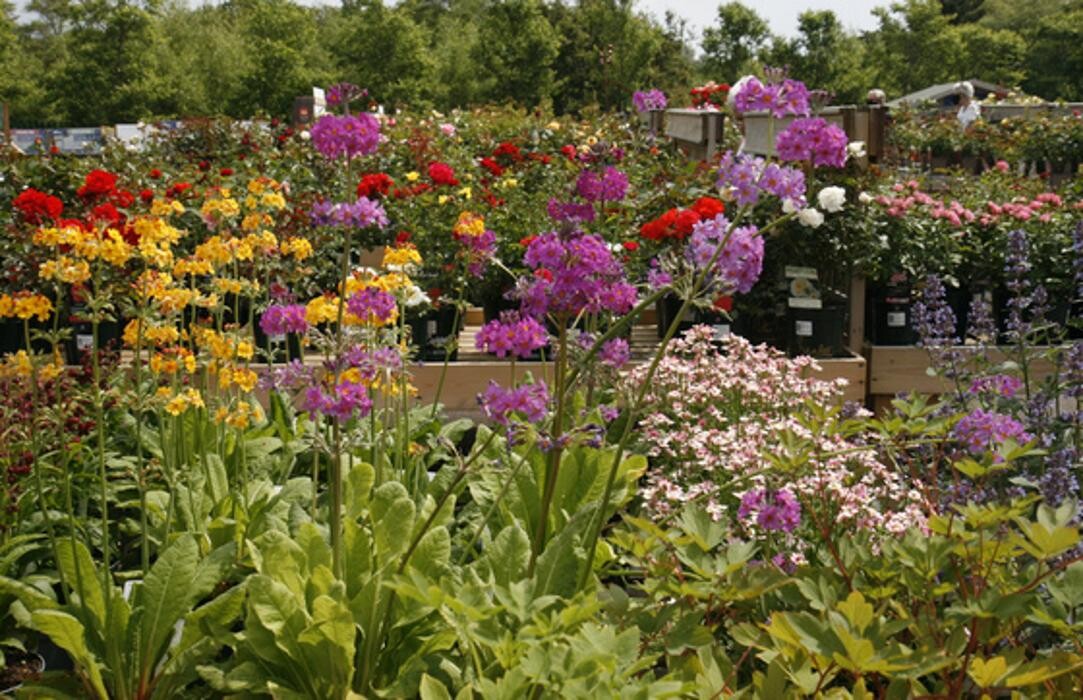 Images Hillier Garden Centre Eastbourne