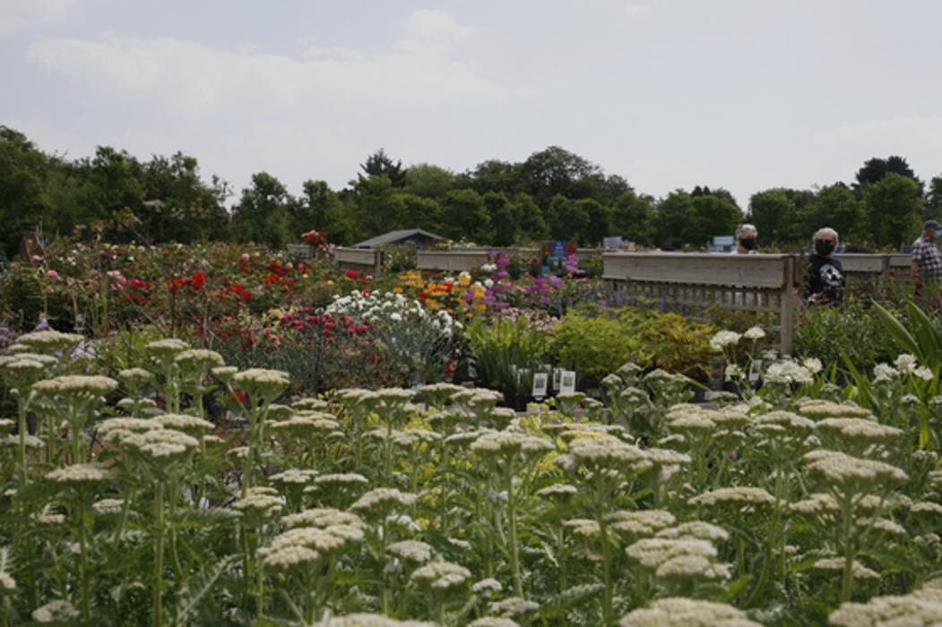 Images Hillier Garden Centre Eastbourne