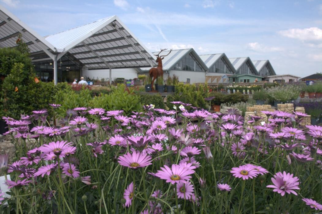 Images Hillier Garden Centre Eastbourne