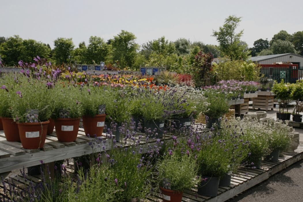 Images Hillier Garden Centre Eastbourne