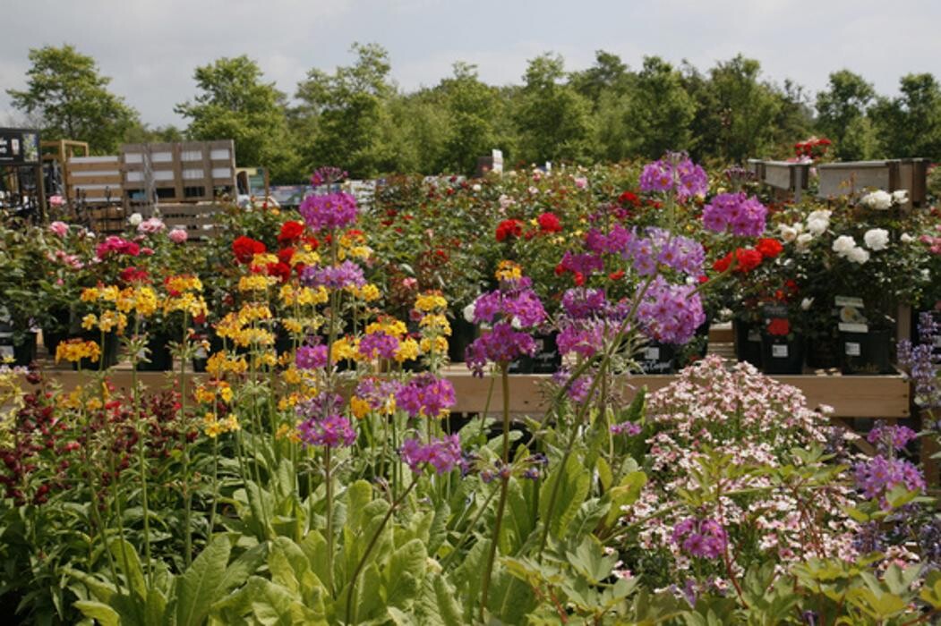 Images Hillier Garden Centre Eastbourne