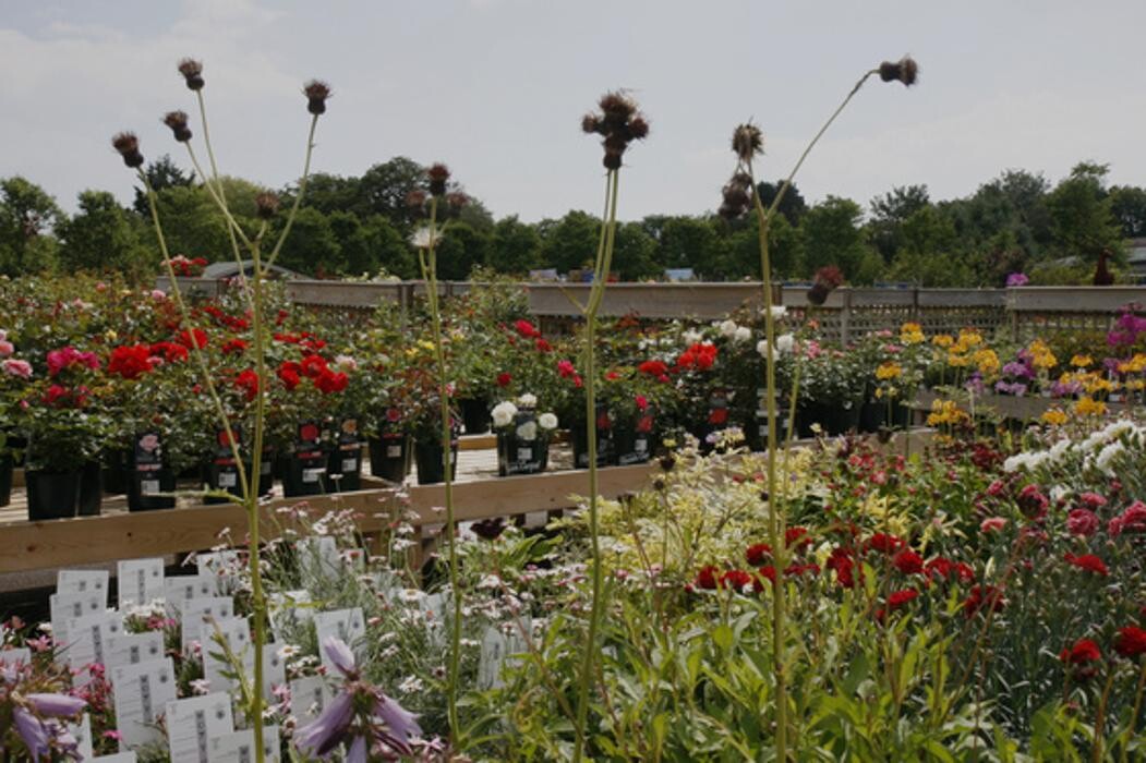 Images Hillier Garden Centre Eastbourne