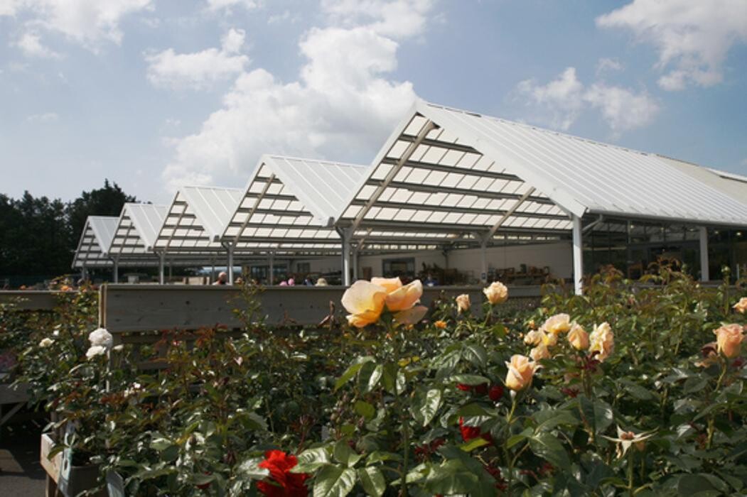Images Hillier Garden Centre Eastbourne