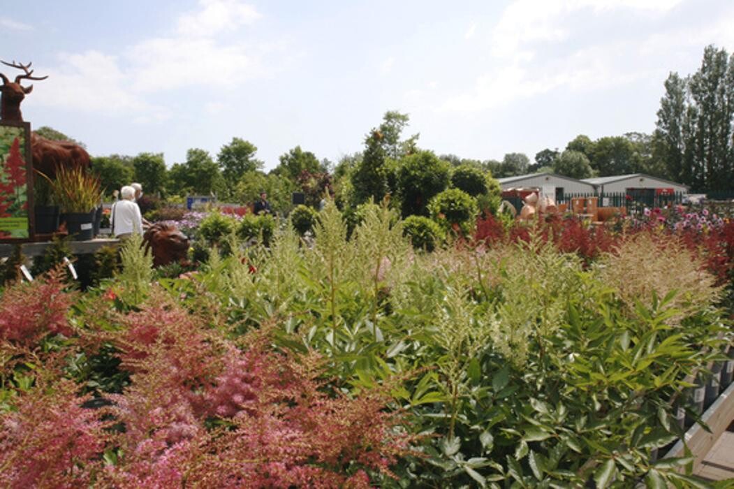 Images Hillier Garden Centre Eastbourne