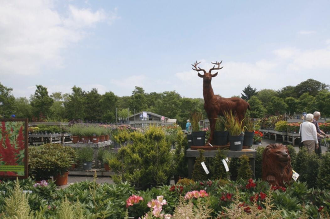 Images Hillier Garden Centre Eastbourne
