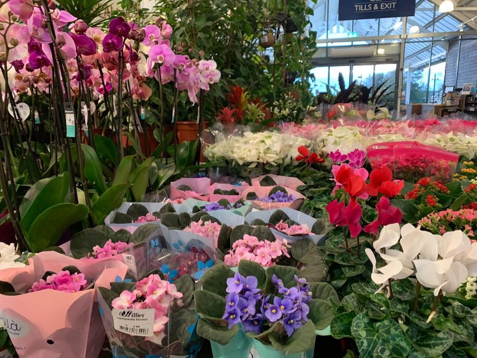 Images Hillier Garden Centre Eastbourne