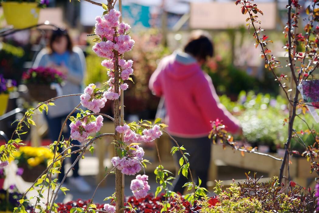 Images Hillier Garden Centre Chichester