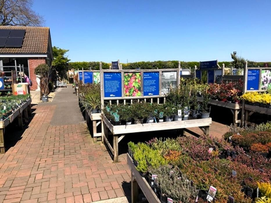 Images Hillier Garden Centre Chichester