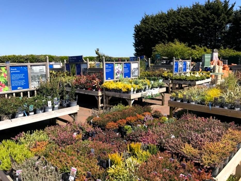 Images Hillier Garden Centre Chichester