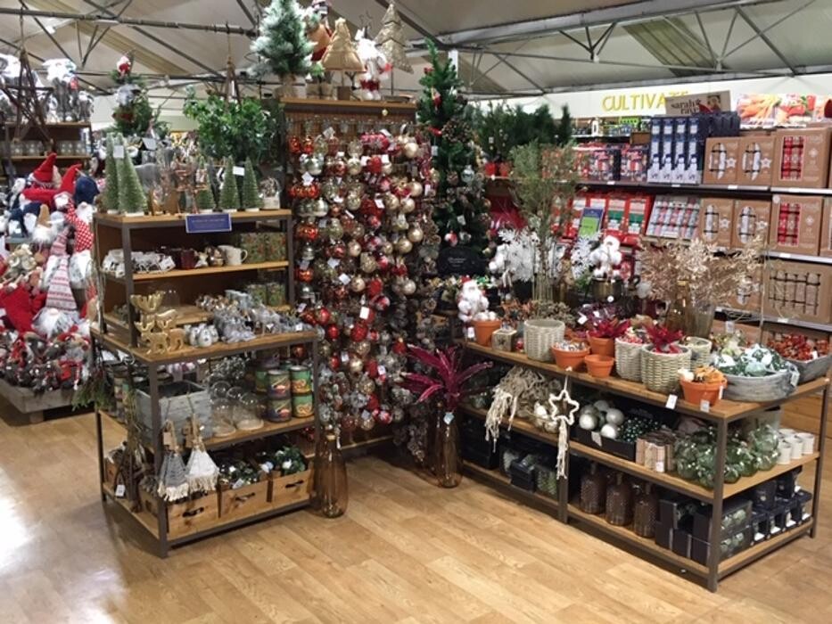 Images Hillier Garden Centre Sunningdale