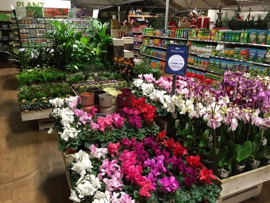 Images Hillier Garden Centre Sunningdale