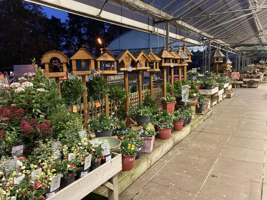 Images Hillier Garden Centre Sunningdale