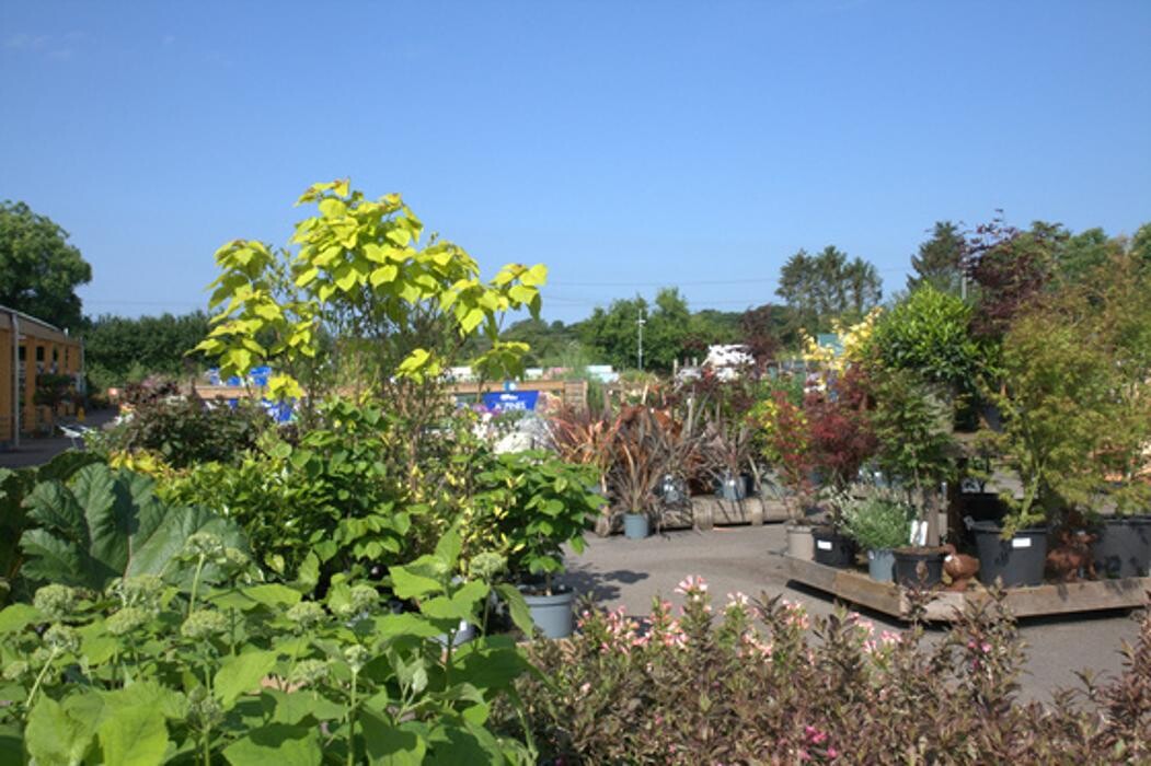 Images Hillier Garden Centre Marlow