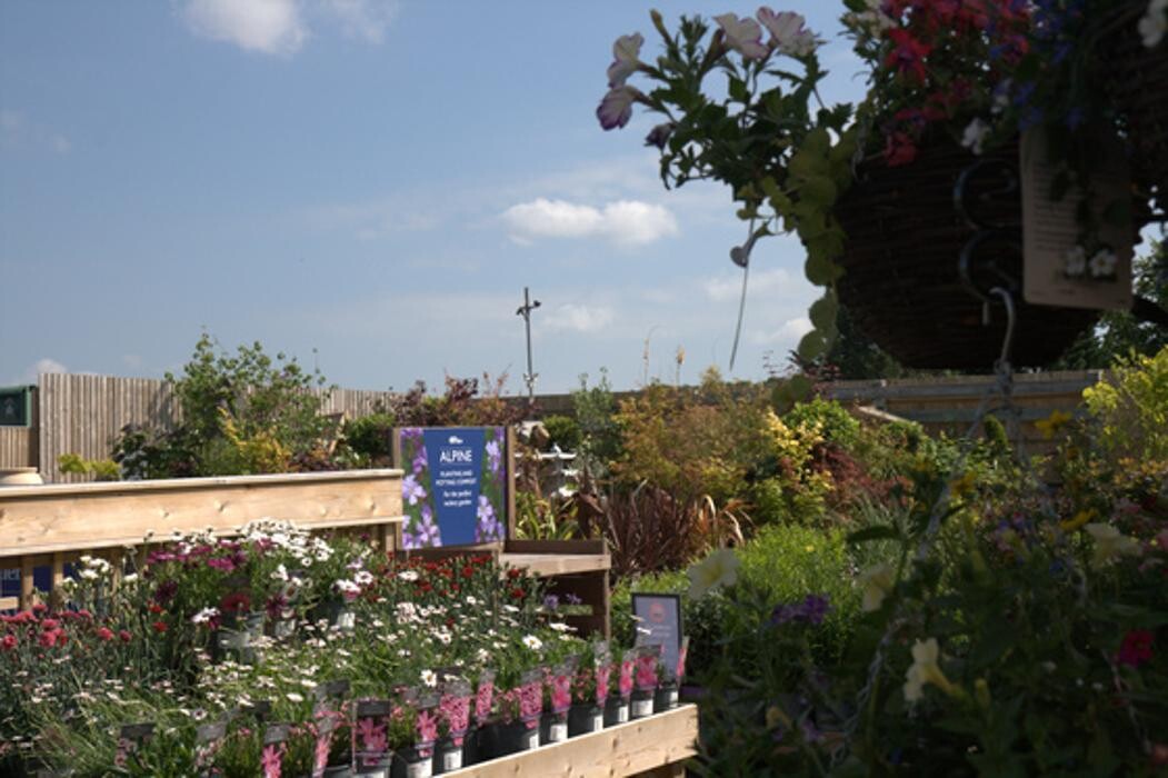 Images Hillier Garden Centre Marlow