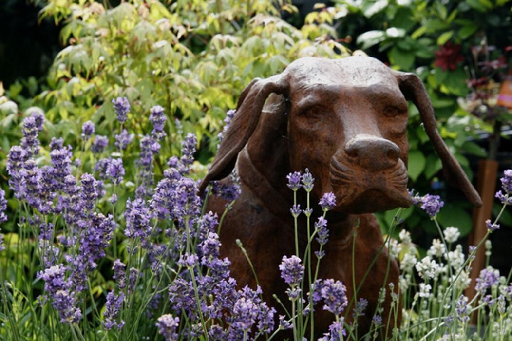 Images Mulberry & Thyme Hemel Hempstead