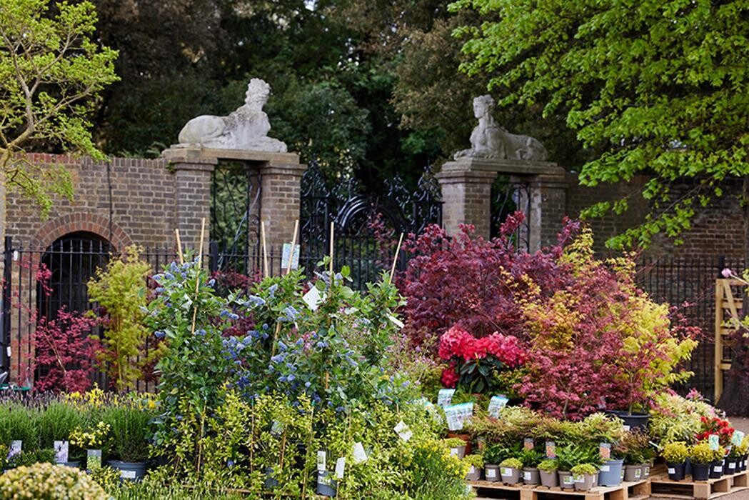 Images The Courtyard Restaurant Syon Park