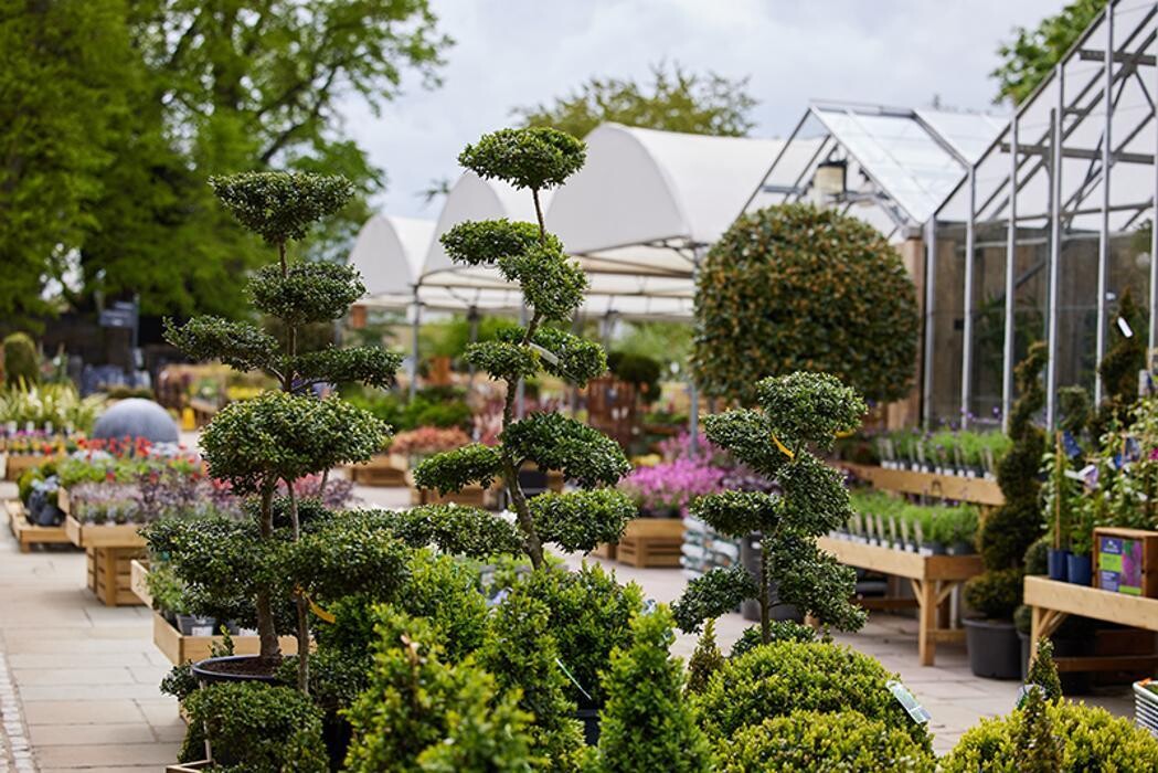 Images The Courtyard Restaurant Syon Park
