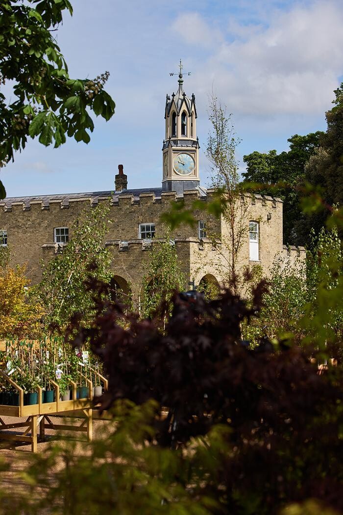 Images The Courtyard Restaurant Syon Park