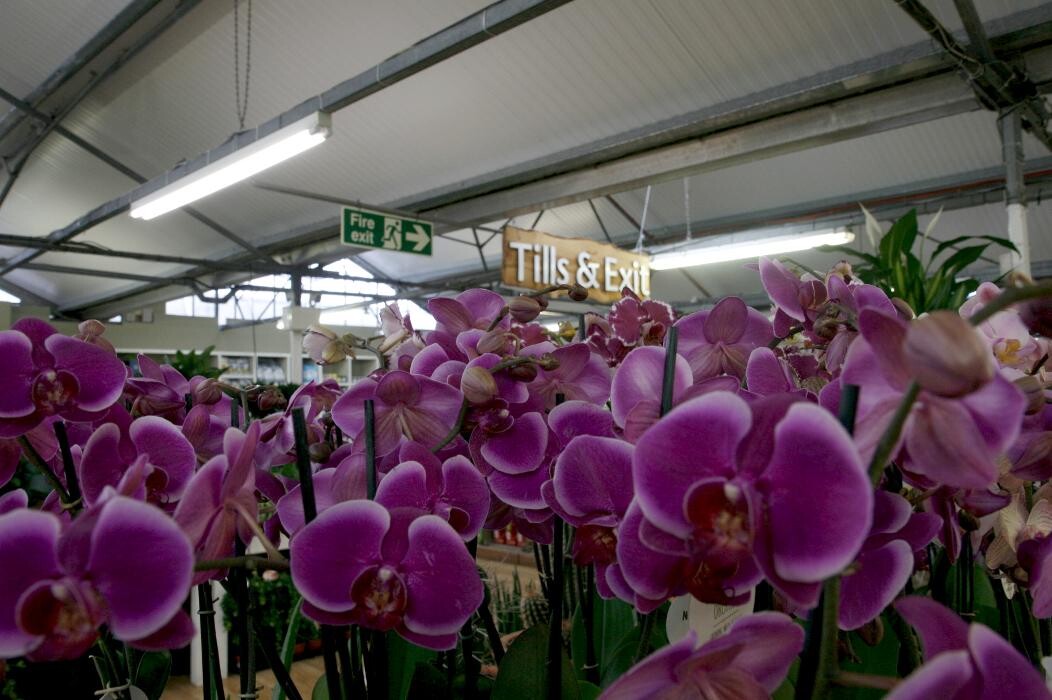 Images Hillier Garden Centre Bath