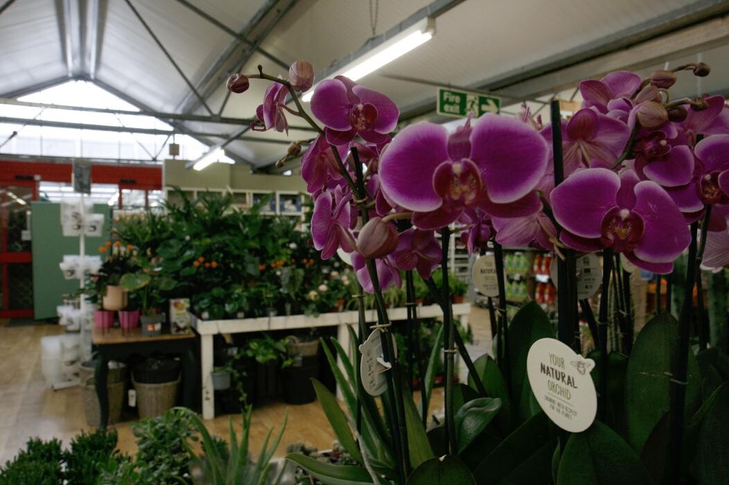 Images Hillier Garden Centre Bath