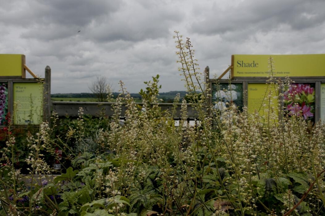 Images Hillier Garden Centre Bath