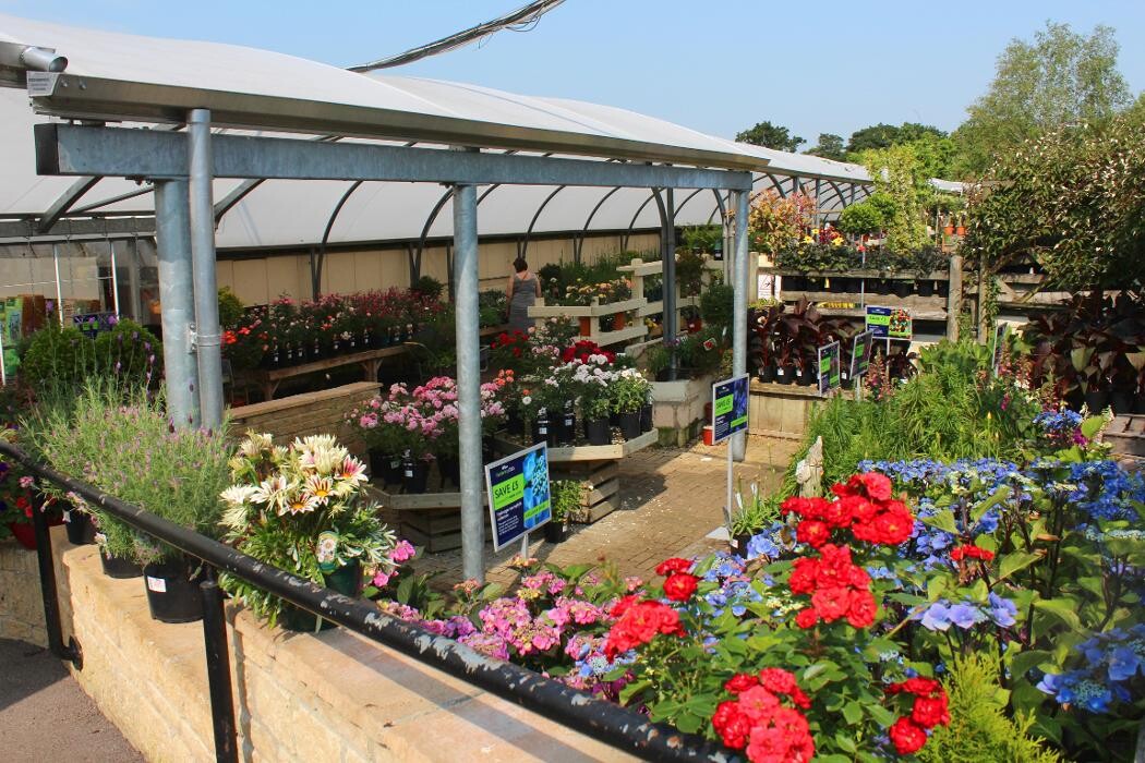 Images Hillier Garden Centre Bath