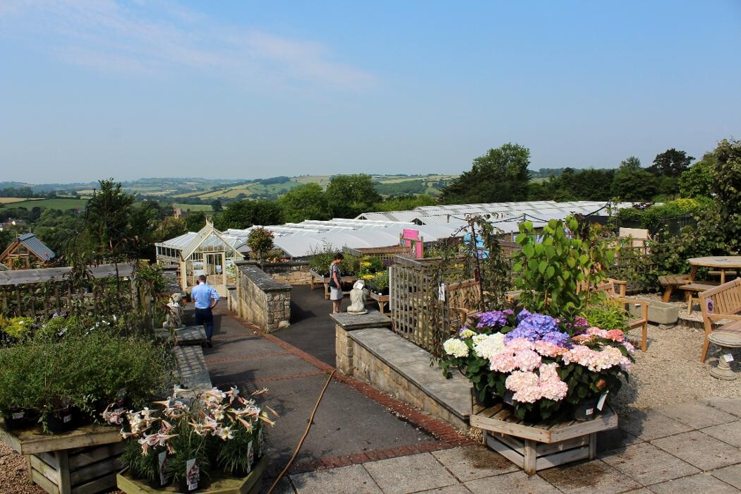 Images Hillier Garden Centre Bath