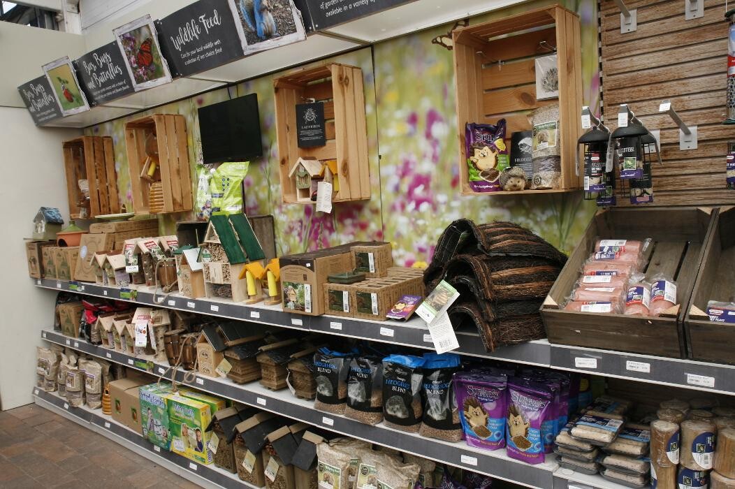 Images Mulberry & Thyme Eastbourne