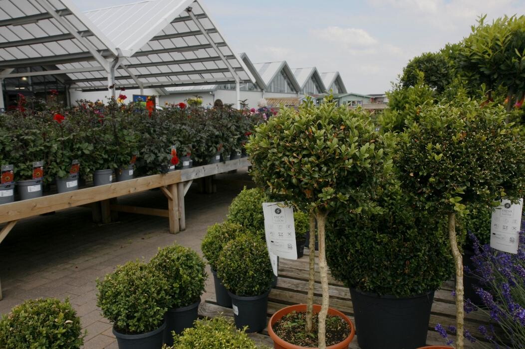 Images Mulberry & Thyme Eastbourne