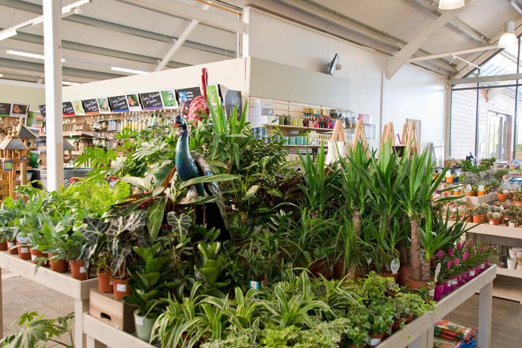 Images Mulberry & Thyme Eastbourne